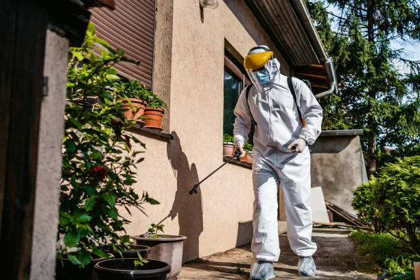 Best Best Pest Control Companies  in Valencia, NM