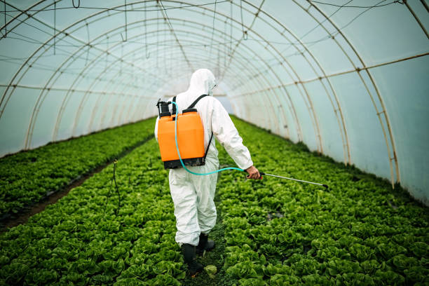 Pest Control Cost in Valencia, NM