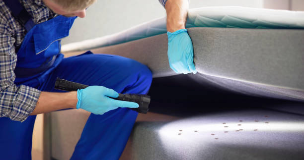 Best Pest Control Cost  in Valencia, NM