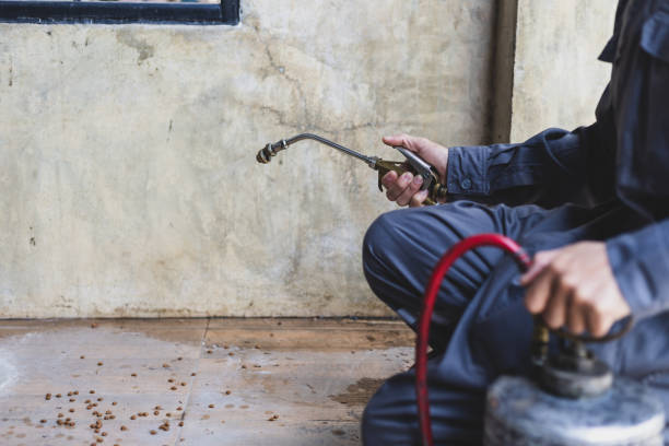 Reliable Valencia, NM Pest Control Solutions